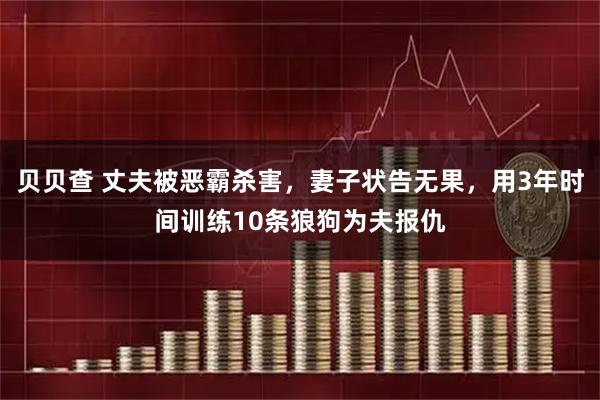 贝贝查 丈夫被恶霸杀害，妻子状告无果，用3年时间训练10条狼狗为夫报仇