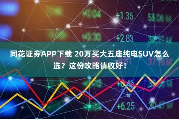 同花证券APP下载 20万买大五座纯电SUV怎么选？这份攻略请收好！