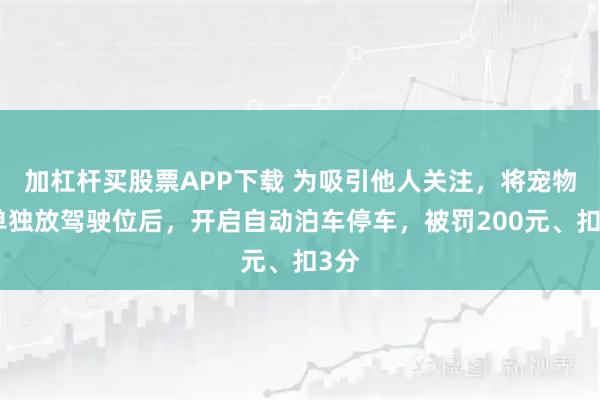加杠杆买股票APP下载 为吸引他人关注，将宠物犬单独放驾驶位后，开启自动泊车停车，被罚200元、扣3分