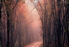 网上购买股票怎么开户:开户配资平台-寒王大动作！拟使用27.78亿资本公积金弥补累计亏损